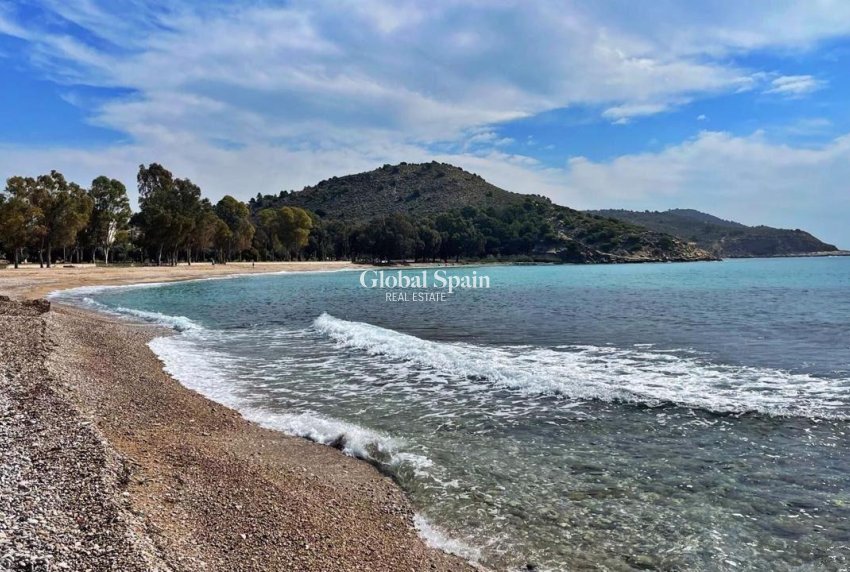 New Build - APARTMENT -
VILLAJOYOSA - Playa del Torres