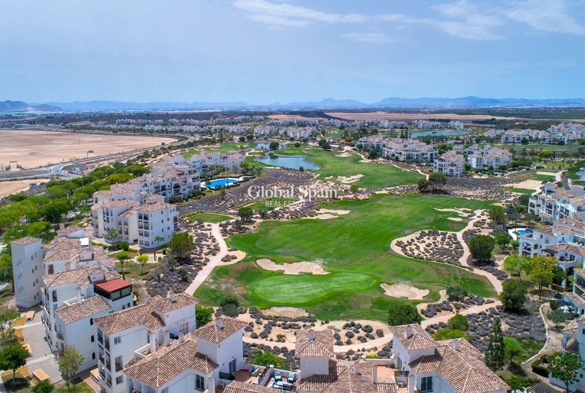 New Build - HOUSE -
SUCINA - Sucina