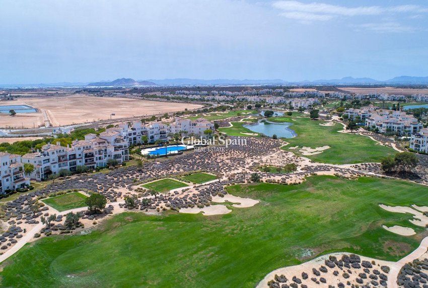 New Build - HOUSE -
SUCINA - Sucina