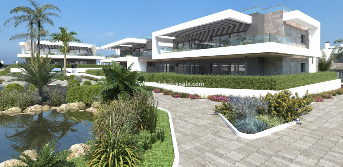 New Build - House - Torrevieja - Orihuela costa