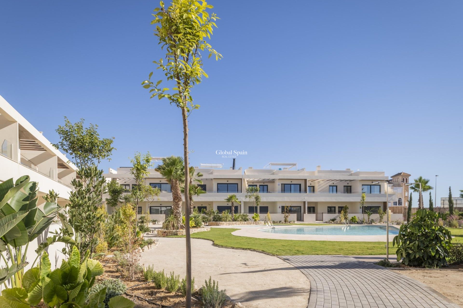 New Build - House -
TORREVIEJA - Villa Amalia