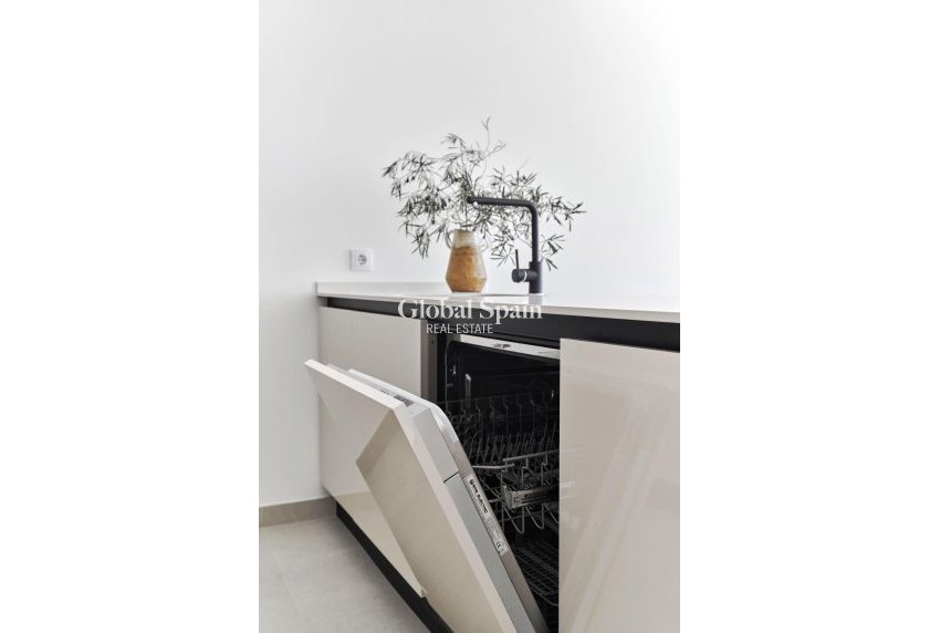 New Build - House -
TORREVIEJA - Villa Amalia