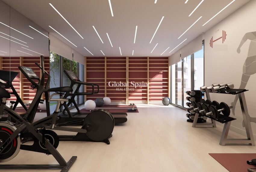 New Build - PENTHOUSE -
CASARES - Buenas Noches