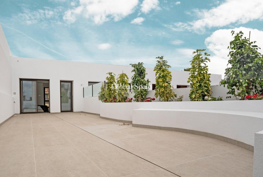 New Build - Villa -
ALMORADÍ