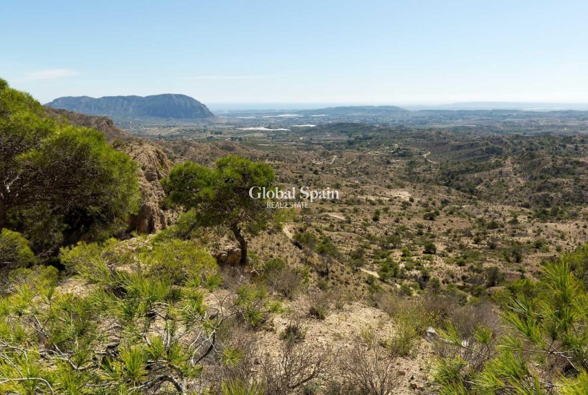 New Build - VILLA -
ASPE - Centro