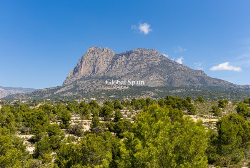 New Build - Villa -
BENIDORM - Benidorm