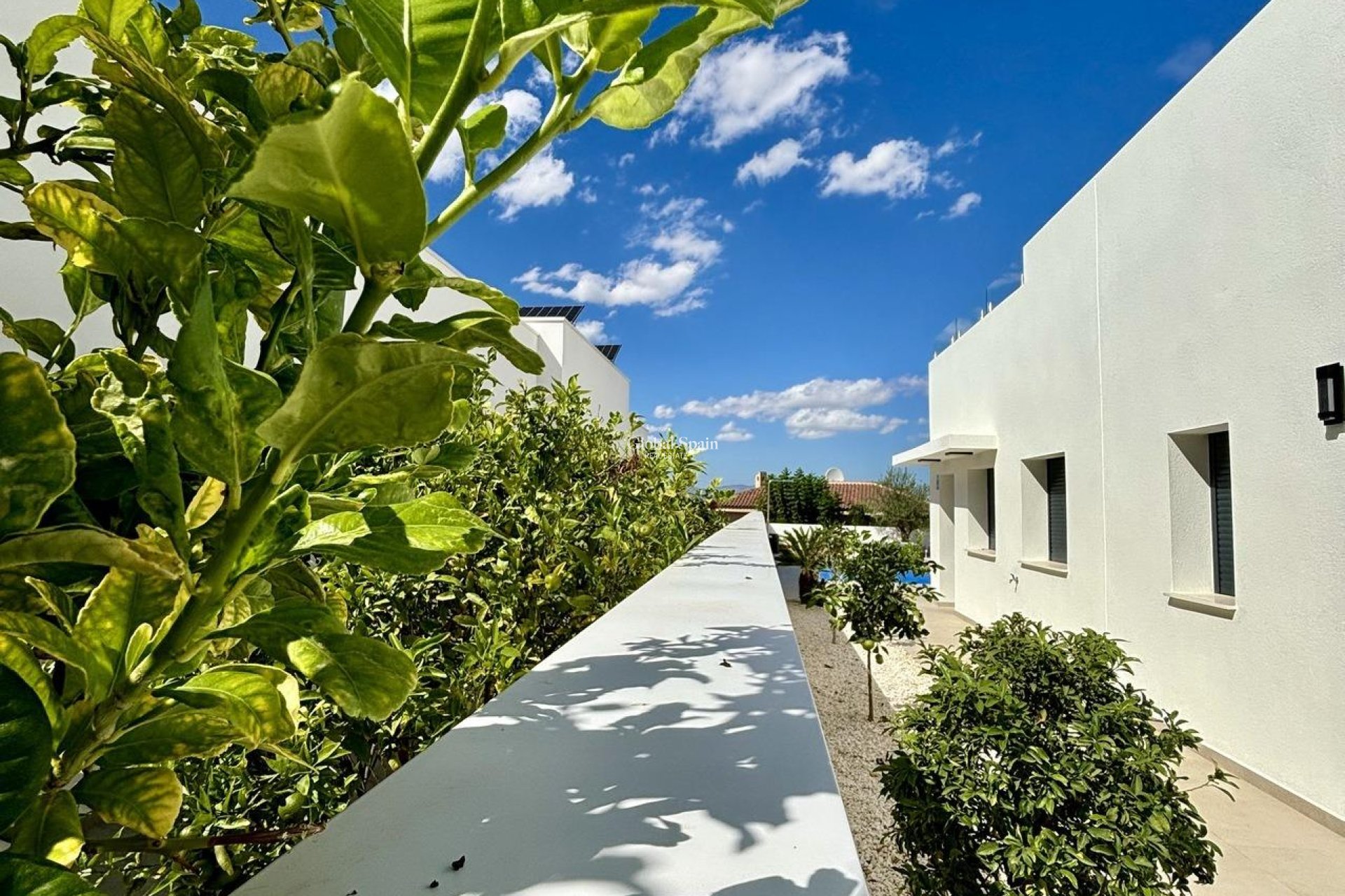 New Build - VILLA -
BENIJÓFAR - Pueblo