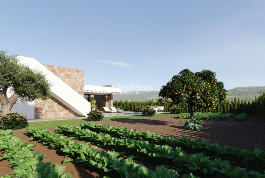 New Build - VILLA -
FUENTE ÁLAMO DE MURCIA - Hacienda del Alamo