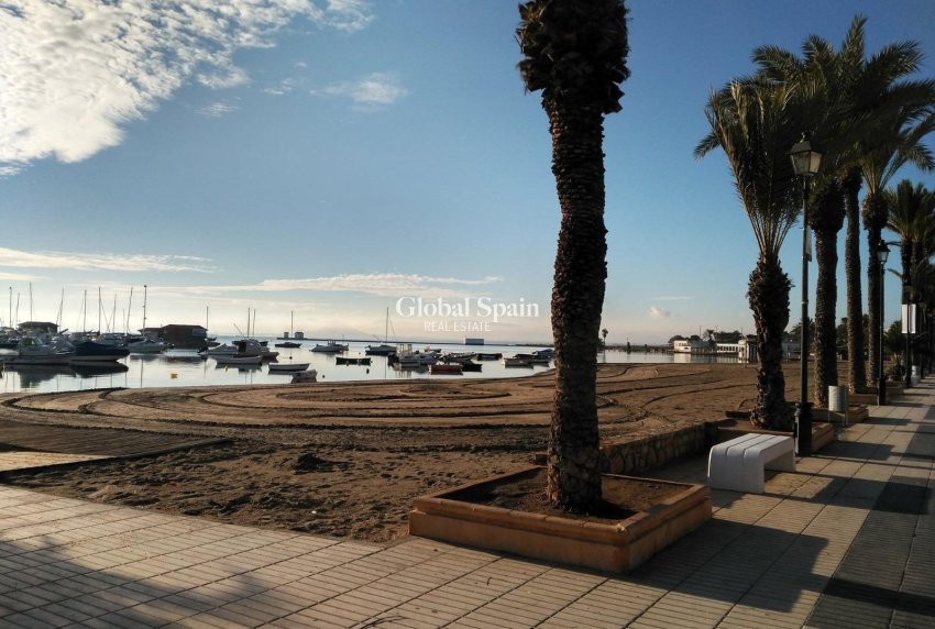 New Build - VILLA -
LOS ALCÁZARES