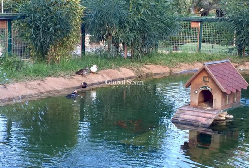 New Build - Villa -
MURCIA