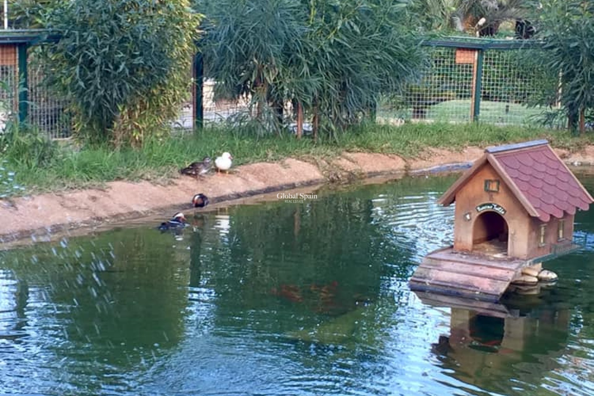 New Build - Villa -
MURCIA