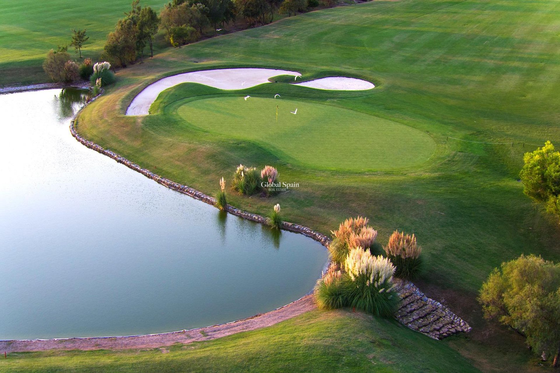 New Build - VILLA -
PILAR DE LA HORADADA - Lo Romero Golf