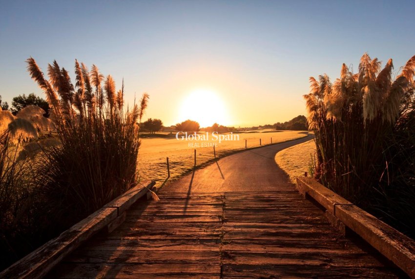 New Build - VILLA -
PILAR DE LA HORADADA - Lo Romero Golf