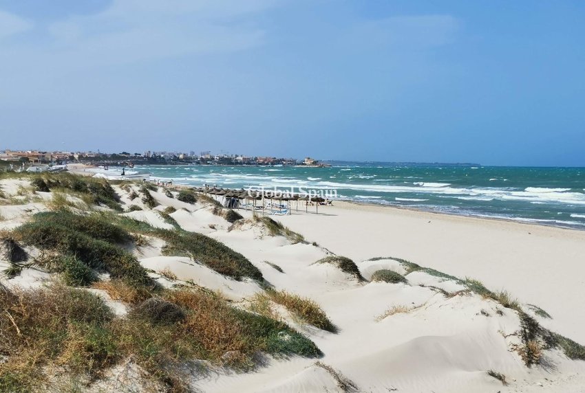 New Build - Villa -
PILAR DE LA HORADADA - Pilar de la Horadada