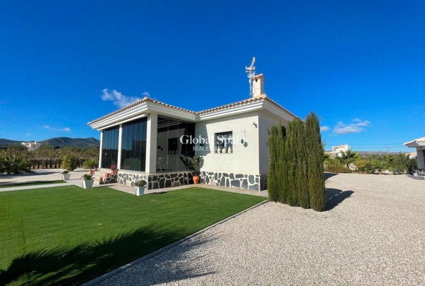 New Build - Villa -
Pinoso - Camino Del Prado