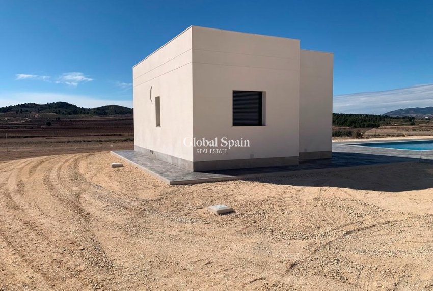 New Build - Villa -
Pinoso - Camino Del Prado