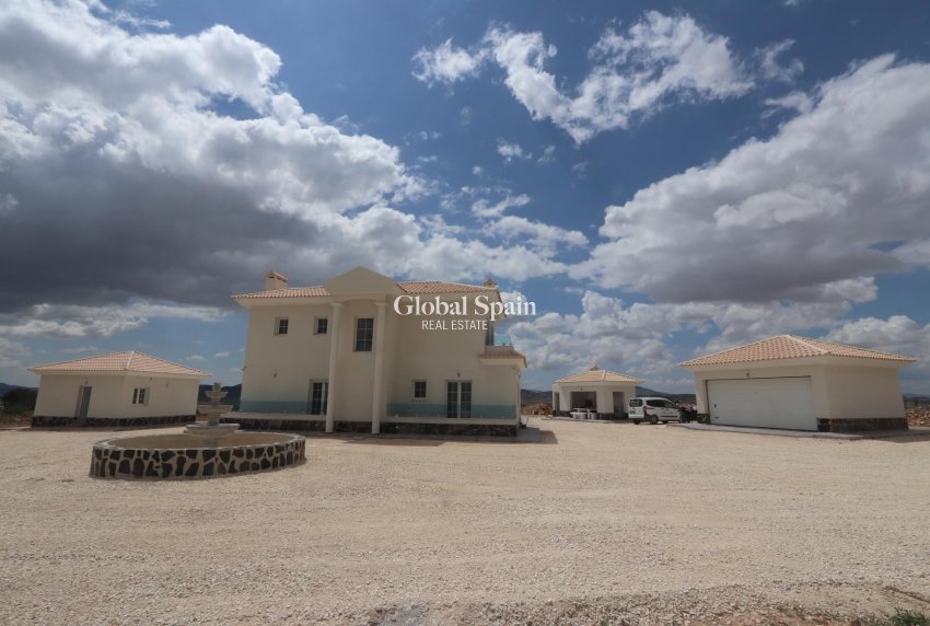 New Build - Villa -
Pinoso - Camino Del Prado