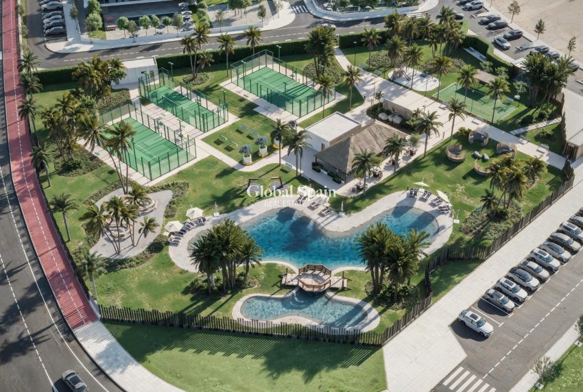 New Build - Villa -
TORRE PACHECO - Roldán