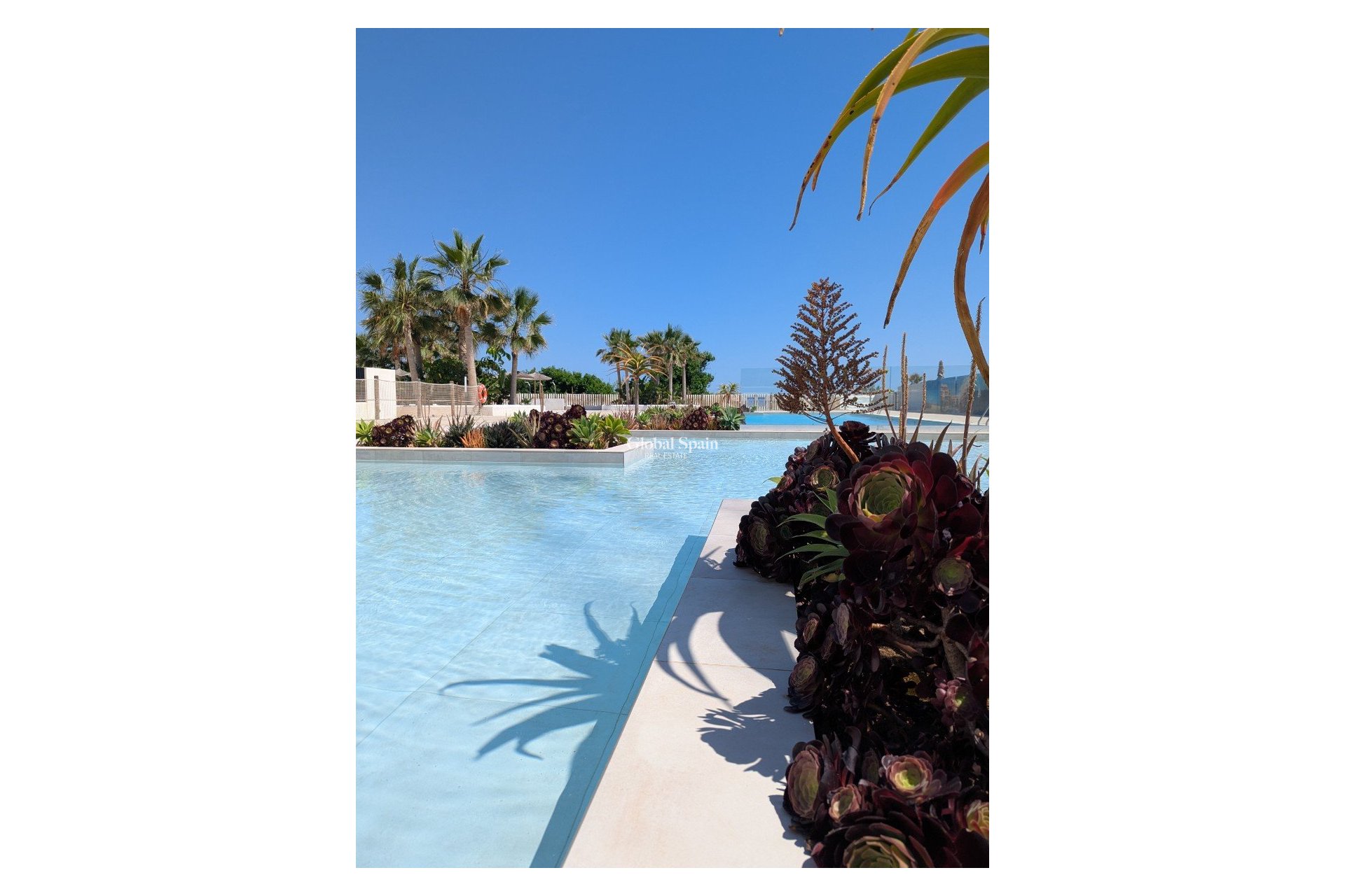 Nieuwbouw - Appartement -
DENIA