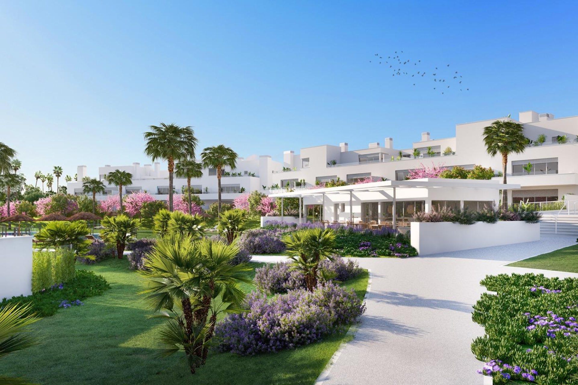Nieuwbouw - APPARTEMENT -
ESTEPONA - Riviera beach