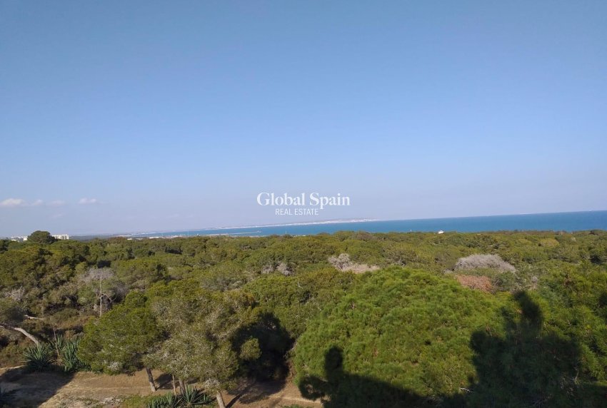 Nieuwbouw - APPARTEMENT -
GUARDAMAR DEL SEGURA