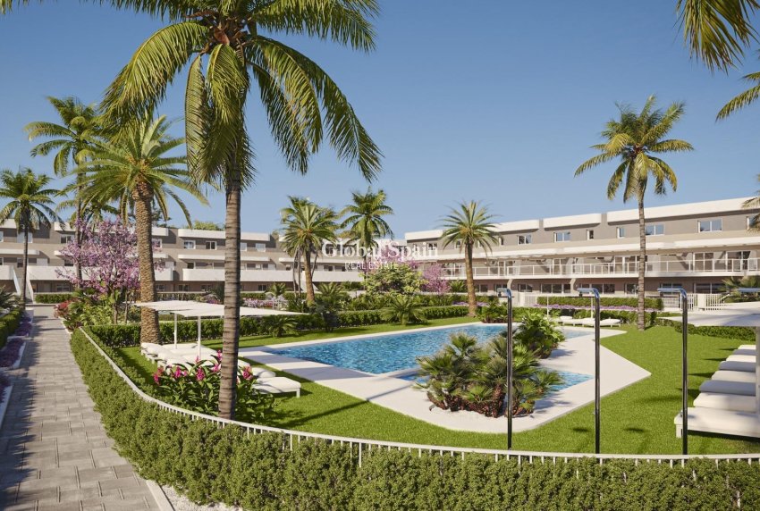 Nieuwbouw - APPARTEMENT -
MONFORTE DEL CID - Alenda Golf