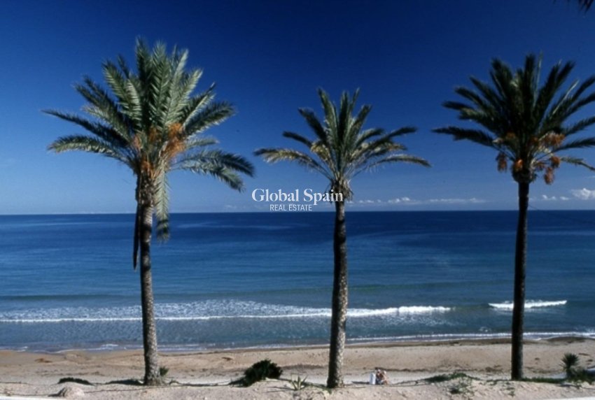 Nieuwbouw - APPARTEMENT -
PILAR DE LA HORADADA - Parque Ramon eugenio Escudero