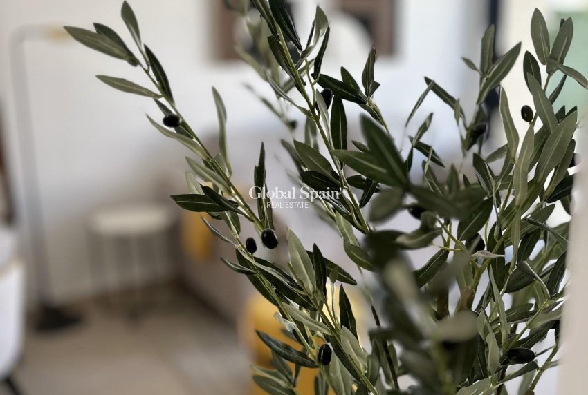 Nieuwbouw - APPARTEMENT -
SAN FULGENCIO - Pueblo