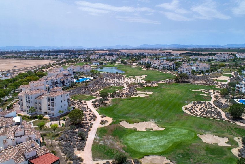 Nieuwbouw - HUIS -
SUCINA - Sucina