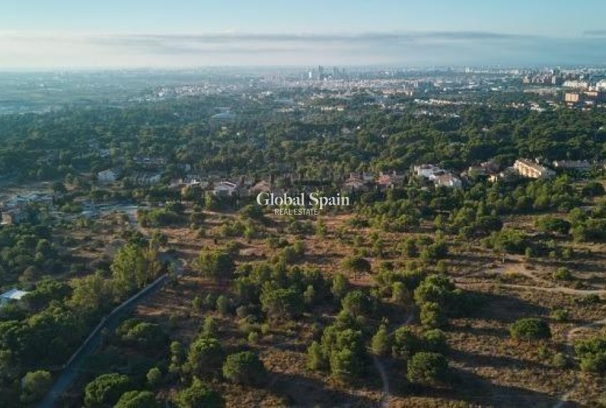 Nieuwbouw - PENTHOUSE -
GODELLA - Campolivar