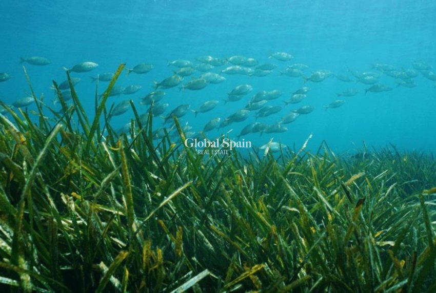 Nieuwbouw - VILLA -
BENISSA - Racó Del Galeno