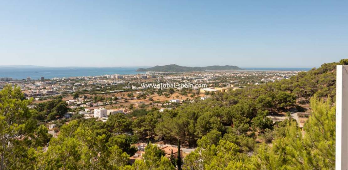 Nieuwbouw - Villa - Ibiza