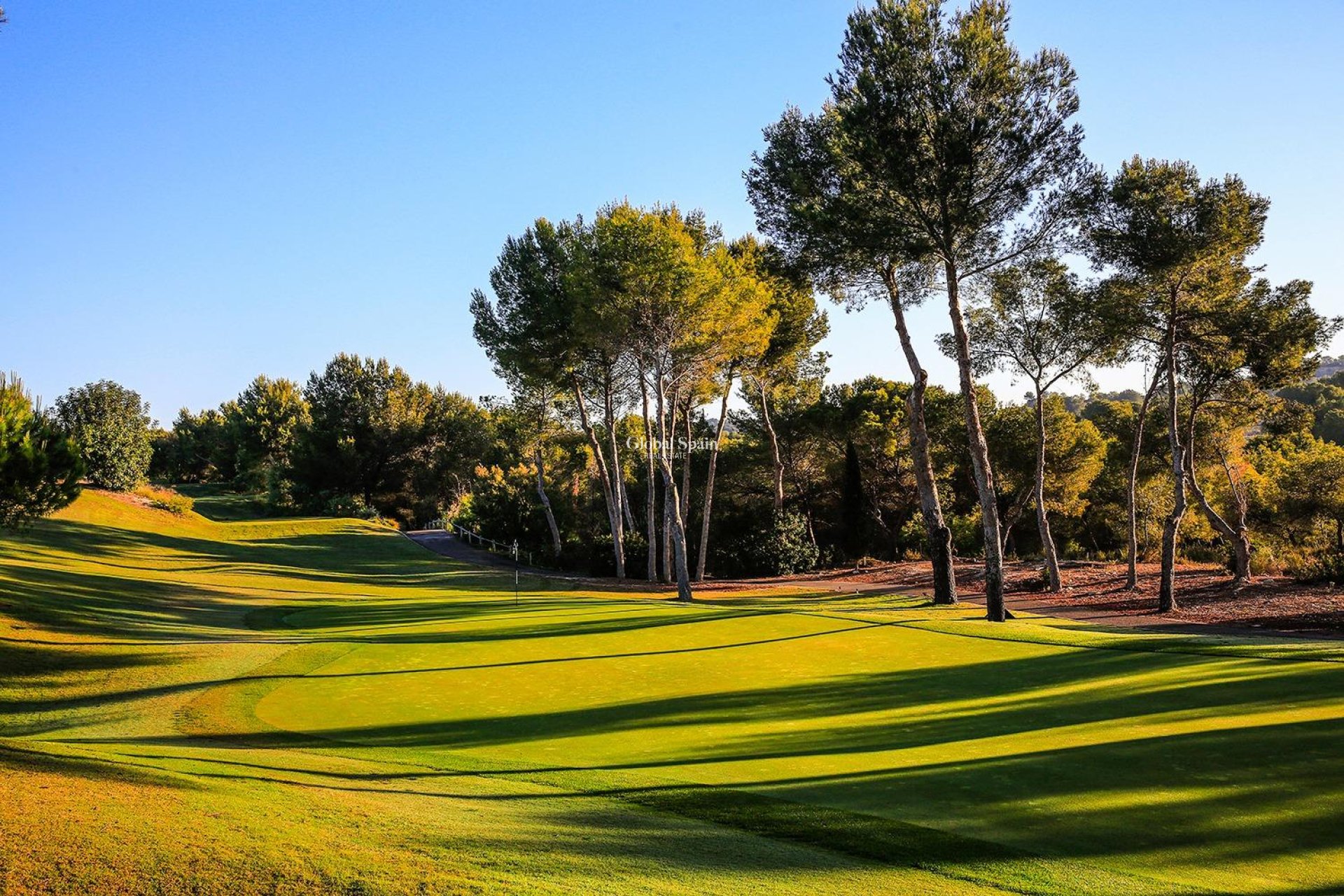 Nieuwbouw - VILLA -
ORIHUELA - LAS COLINAS GOLF RESORT