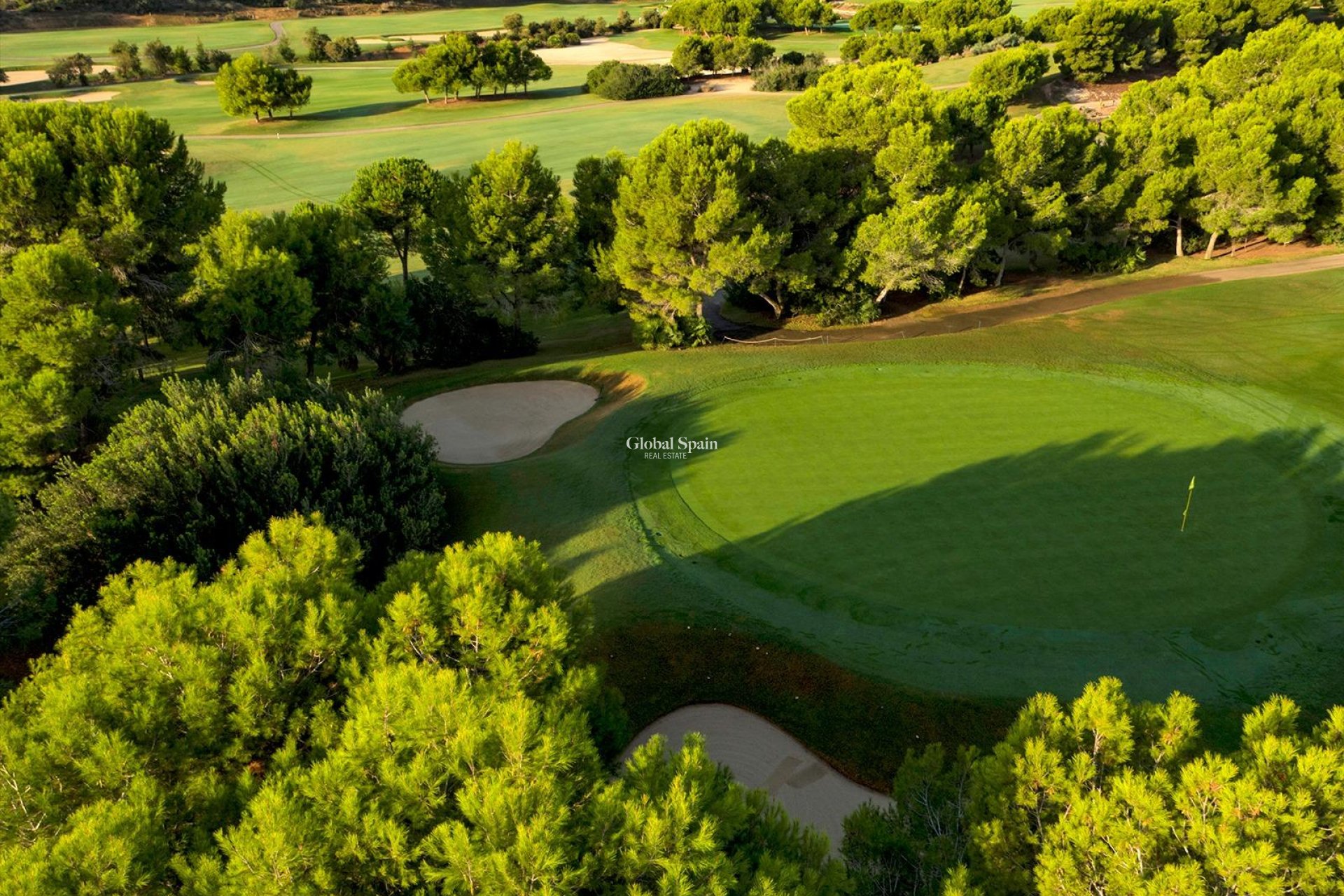 Nieuwbouw - VILLA -
PILAR DE LA HORADADA - Lo Romero Golf