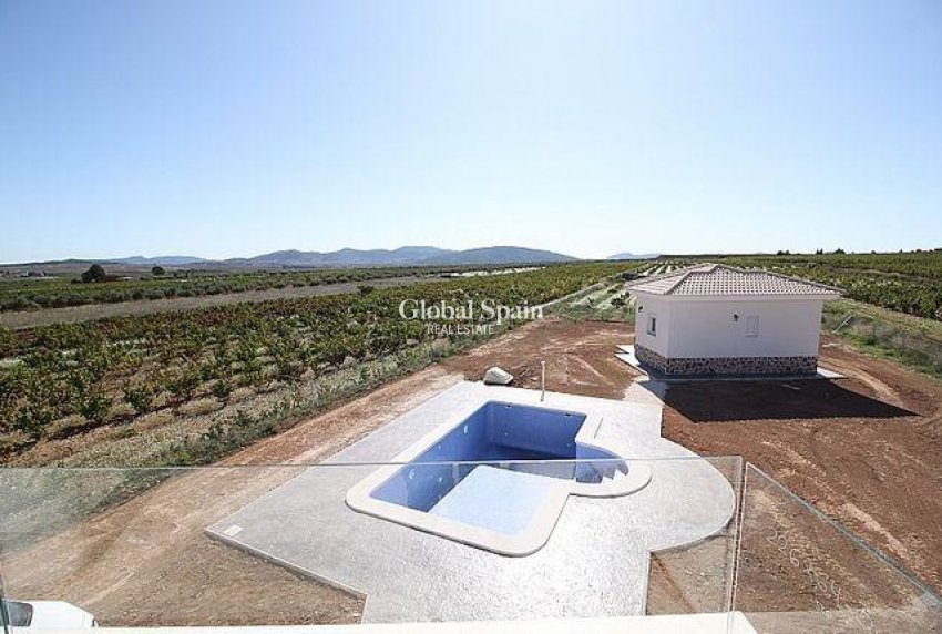 Nieuwbouw - Villa -
Pinoso - Camino Del Prado