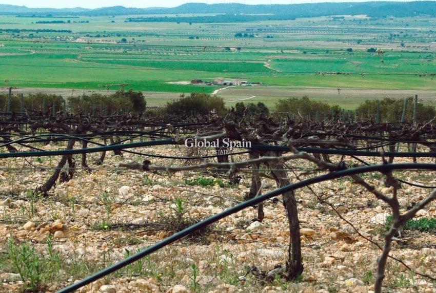 Nieuwbouw - VILLA -
YECLA - Yecla