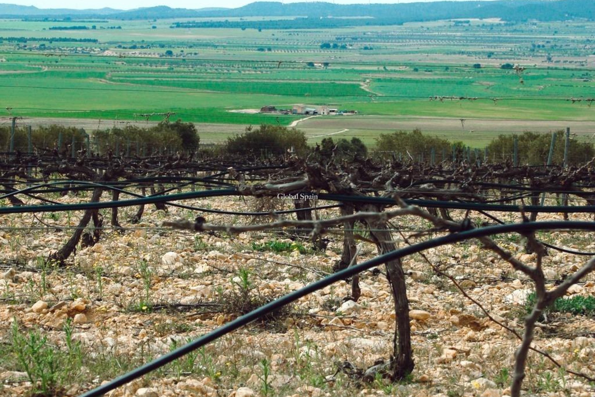 Nieuwbouw - VILLA -
YECLA - Yecla