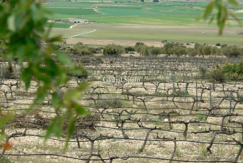 Nieuwbouw - VILLA -
YECLA - Yecla