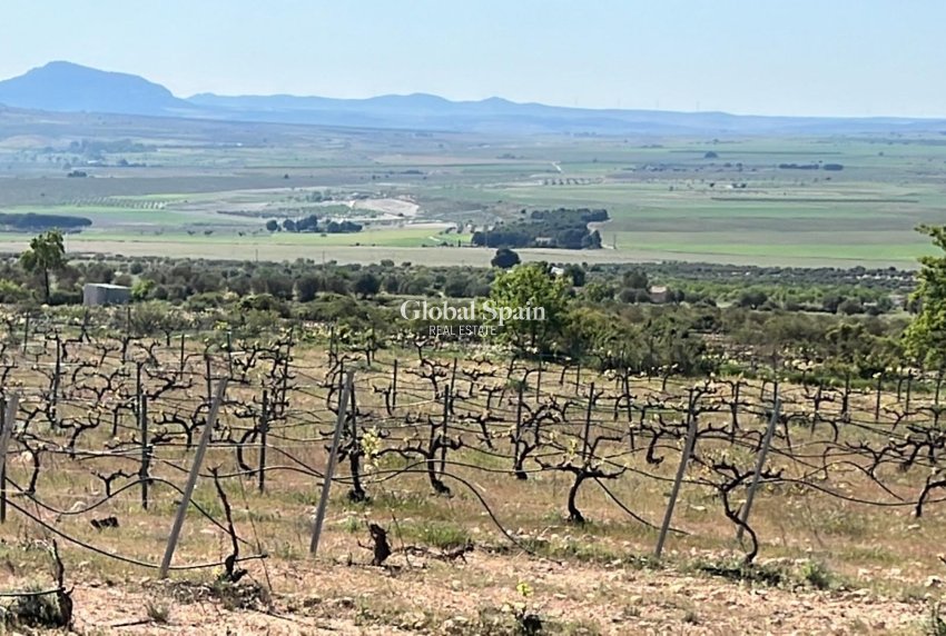 Nieuwbouw - VILLA -
YECLA - Yecla