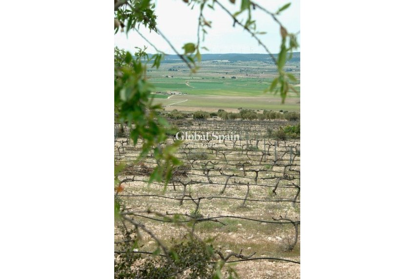 Nieuwbouw - Villa -
Yecla