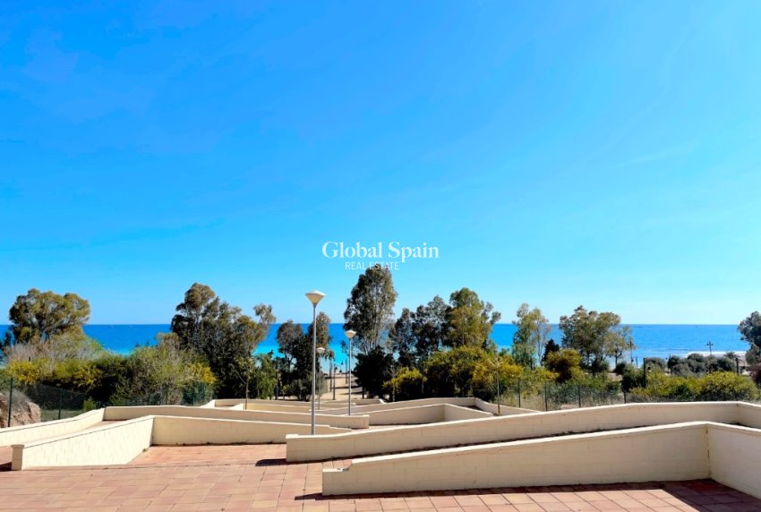 Nouvelle construction - Appartement -
BENIDORM - Alicante