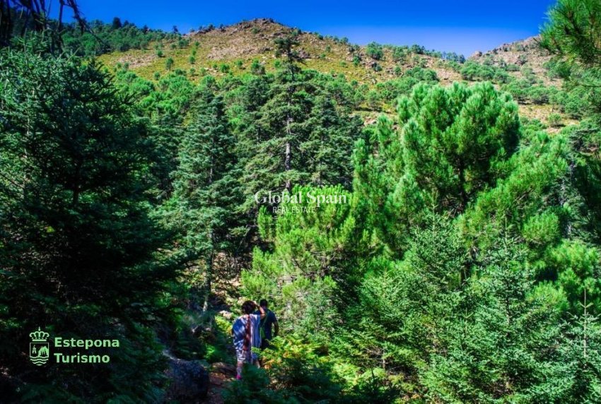 Nouvelle construction - APPARTEMENT -
ESTEPONA - Playa de La Rada