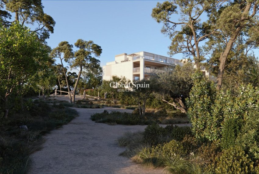 Nouvelle construction - APPARTEMENT -
GODELLA - Campolivar