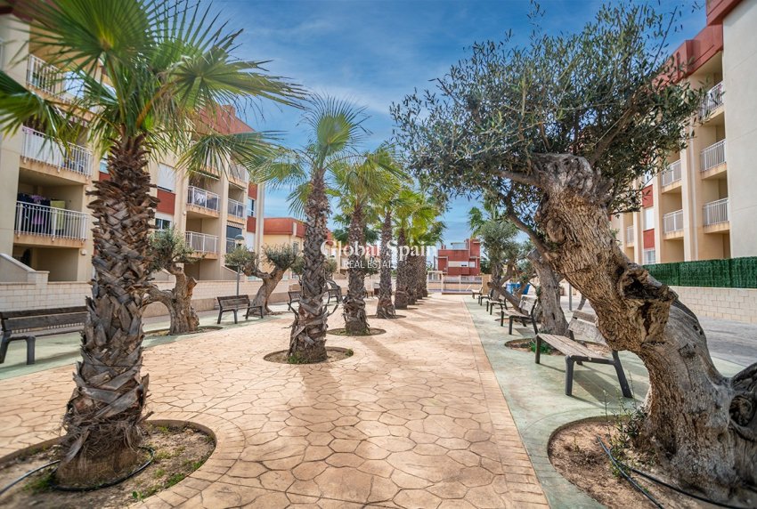 Nouvelle construction - Appartement -
ORIHUELA COSTA - LOMAS DE CABO ROIG