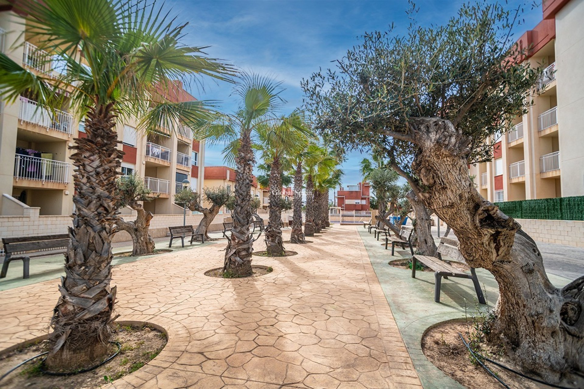 Nouvelle construction - Appartement -
ORIHUELA COSTA - LOMAS DE CABO ROIG