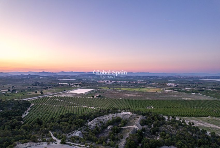 Nouvelle construction - APPARTEMENT -
SAN MIGUEL DE SALINAS