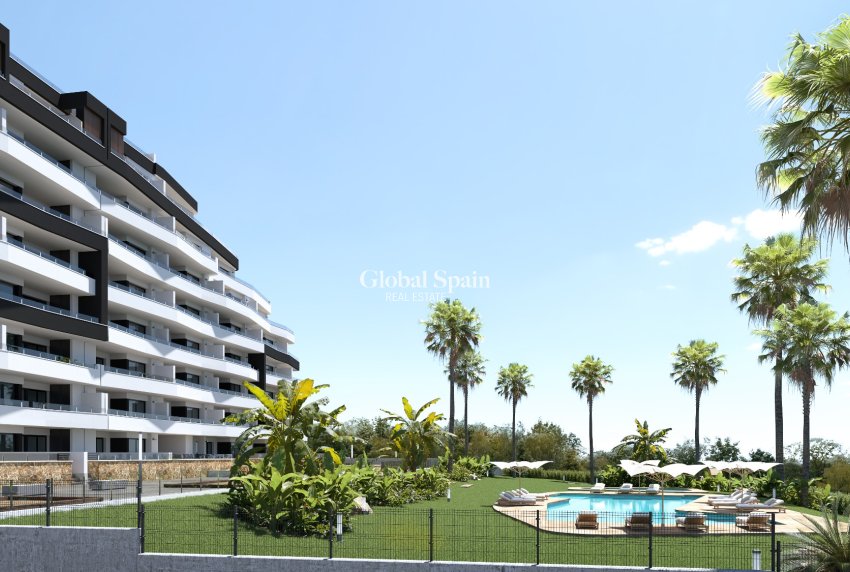 Nouvelle construction - Appartement -
SAN MIGUEL DE SALINAS