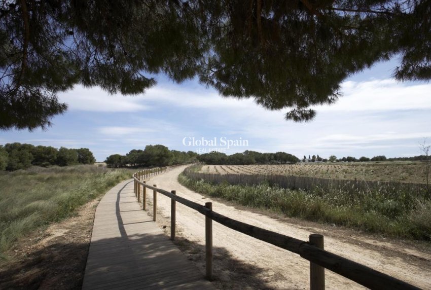 Nouvelle construction - APPARTEMENT -
TORREVIEJA - Altos del Sol