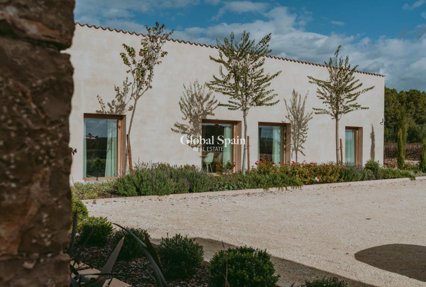 Nouvelle construction - Maison -
Binisalem - optional location detail