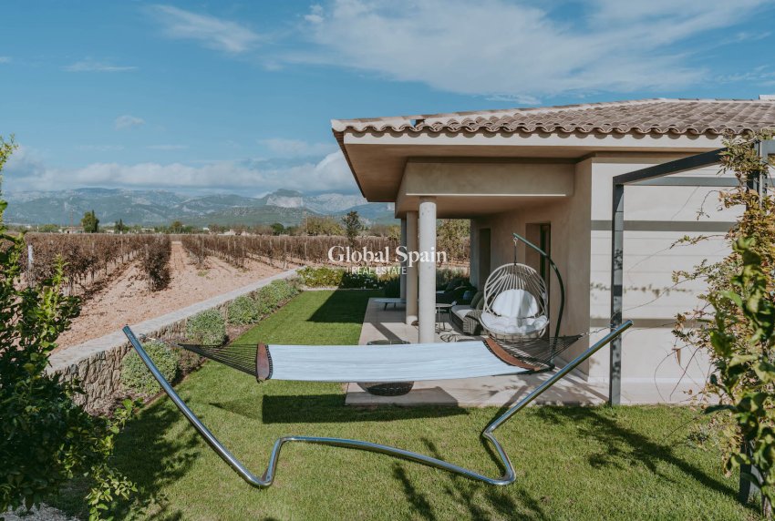 Nouvelle construction - Maison -
Binisalem - optional location detail